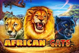 Africa Cats Slots